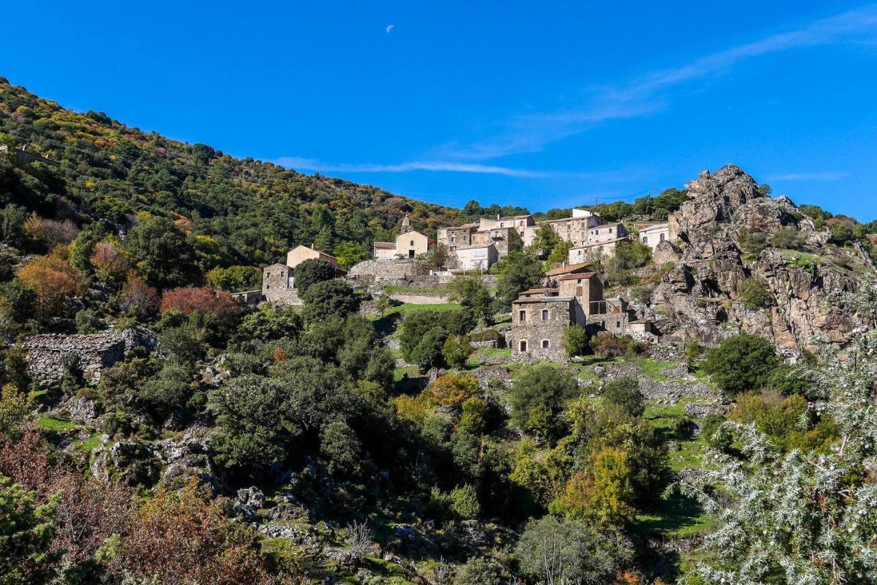 Perla Rossa Otel LʼÎle-Rousse Dış mekan fotoğraf